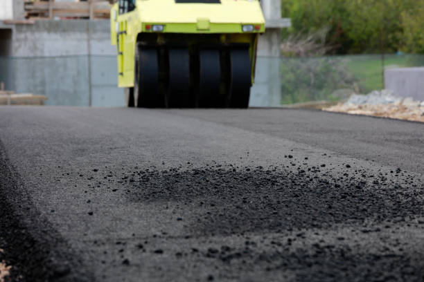 Best Interlocking Driveway Pavers  in Belleview, FL