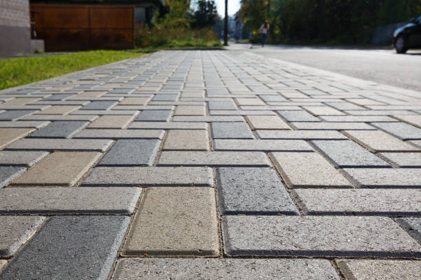 Best Custom Driveway Pavers  in Belleview, FL