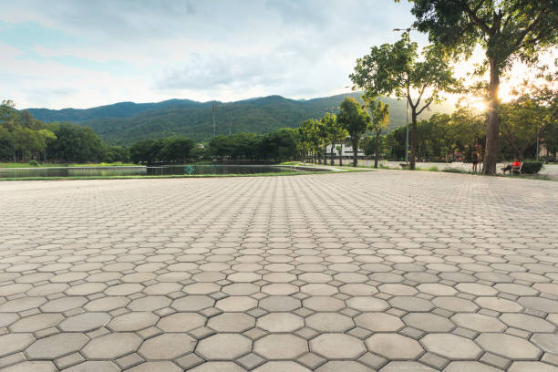 Best Cobblestone Driveway Pavers  in Belleview, FL